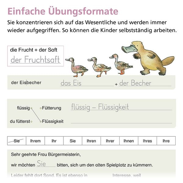 Produktbild: Rechtschreiben mit Rico Schnabel, Klasse 4