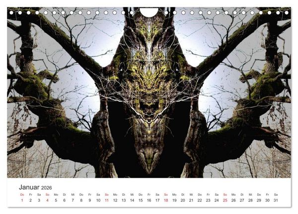 Produktbild: Spiegelwelten - Natur anders sehen (Wandkalender 2026 DIN A4 quer), CALVENDO Monatskalender
