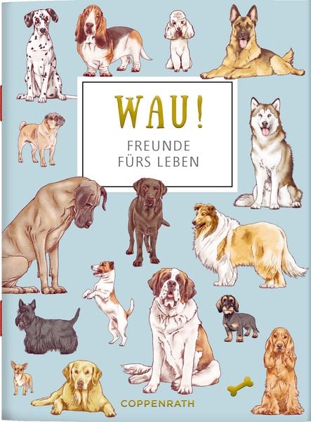 WAU! - Freunde fürs Leben, Taschenbuch von Julia Gerigk, Coppenrath, 9783649651581