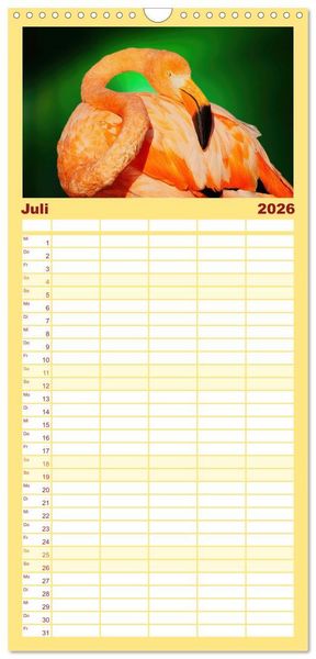 Produktbild: Familienplaner 2026 - Die bunte Welt der V&ouml;gel mit 5 Spalten (Wandkalender, 21 x 45 cm) CALVENDO