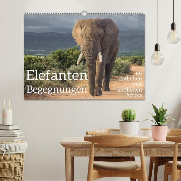 Produktbild: Elefanten Begegnungen im &ouml;stlichen und s&uuml;dlichen Afrika (Wandkalender 2026 DIN A2 quer), CALVENDO Monatskalender