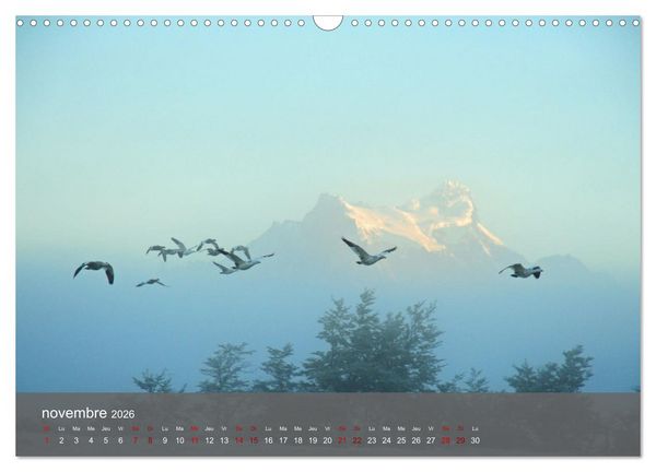 Produktbild: Patagonie Chilienne (Calendrier mural 2026 DIN A3 vertical), CALVENDO calendrier mensuel