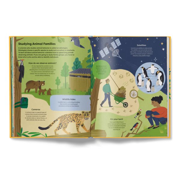 Produktbild: Home Is Where the Herd Is