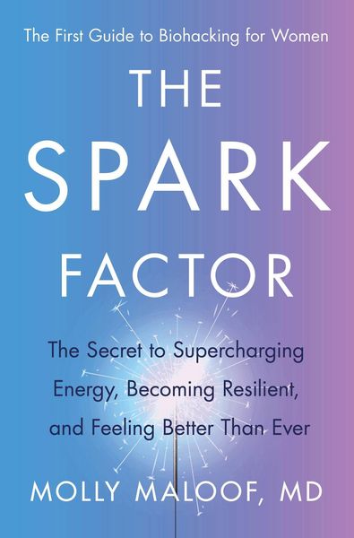 Produktbild: The Spark Factor