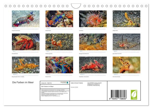 Produktbild: Die Farben im Meer (Wandkalender 2026 DIN A4 quer), CALVENDO Monatskalender