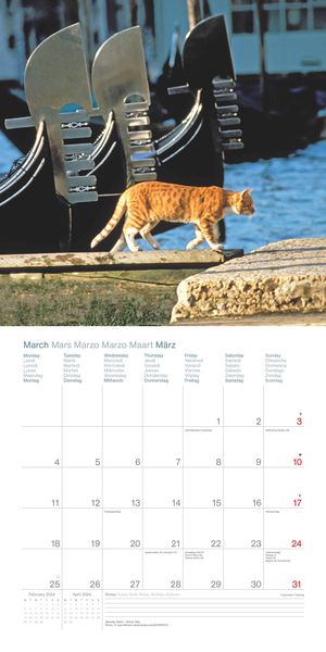 Cats Around the World 2024 Wand-Kalender Broschüren-Kalender 30x30  30x60 geöffnet Katzen-Kalender Kalender Orell Füssli