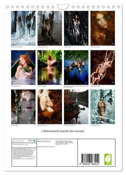 Produktbild: L'&eacute;blouissante beaut&eacute; des rousses (Calendrier mural 2026 DIN A4 horizontal), CALVENDO calendrier mensuel