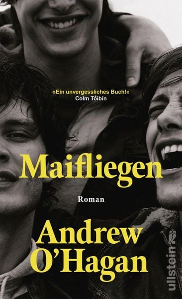 Produktbild: Maifliegen