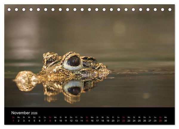 Produktbild: Reptilien & Co. (Tischkalender 2026 DIN A5 quer), CALVENDO Monatskalender