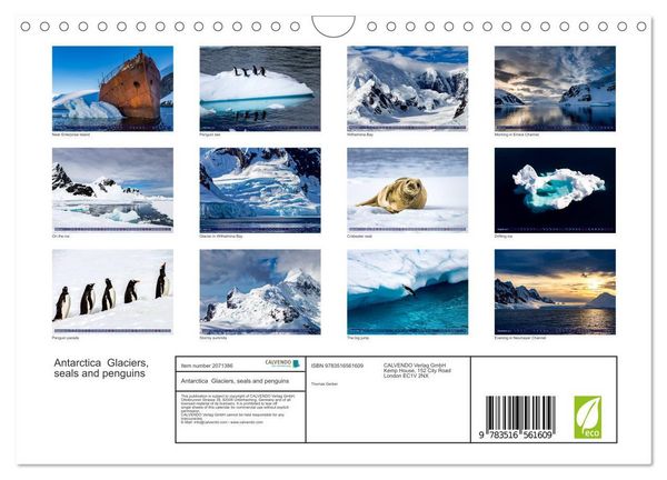 Produktbild: Antarctica Glaciers, seals and penguins (Wall Calendar 2026 DIN A4 landscape), CALVENDO 12 Month Wall Calendar