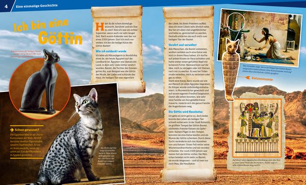 WAS IST WAS Band 59 Katzen. Flinke Jäger auf Samtpfoten