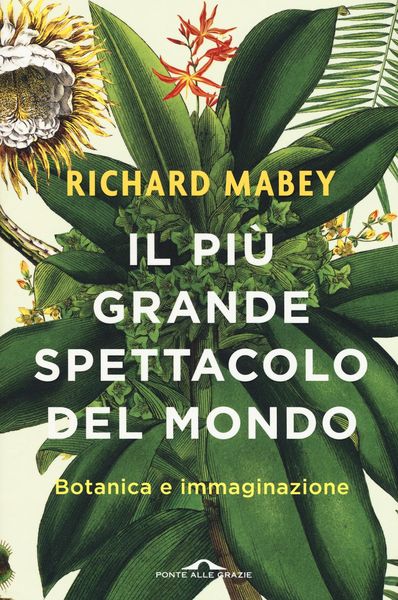 Produktbild: Il pi&ugrave; grande spettacolo del mondo. Botanica e immaginazione