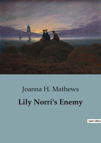 Produktbild: Lily Norri's Enemy