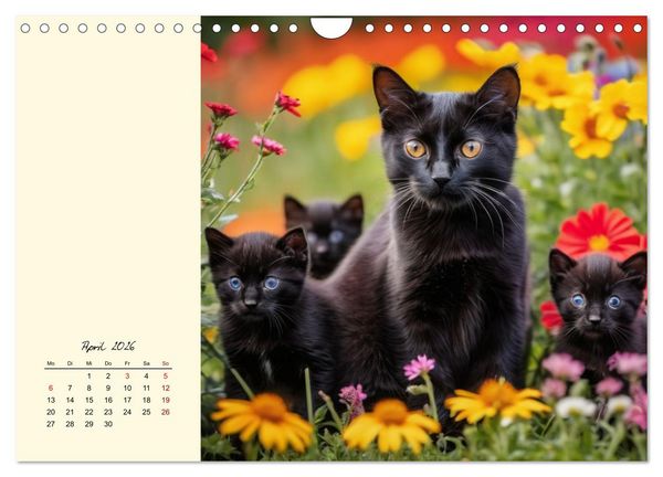 Produktbild: Samtpfoten im Bl&uuml;tenmeer (Wandkalender 2026 DIN A4 quer), CALVENDO Monatskalender