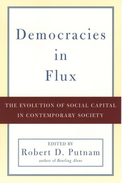 Produktbild: Democracies in Flux