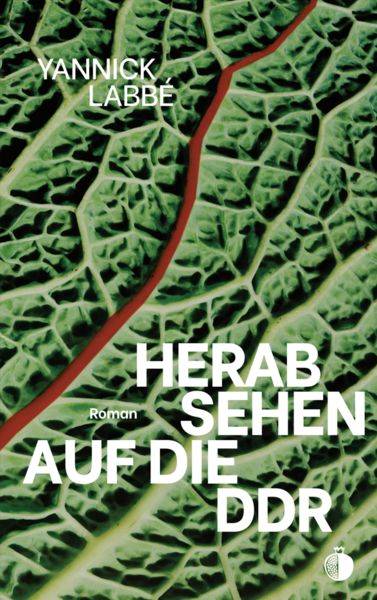 Produktbild: Herabsehen auf die DDR