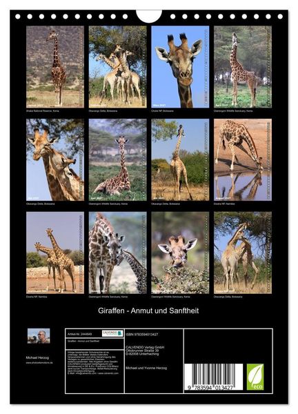 Produktbild: Giraffen - Anmut und Sanftheit (Wandkalender 2027 DIN A4 hoch), CALVENDO Monatskalender