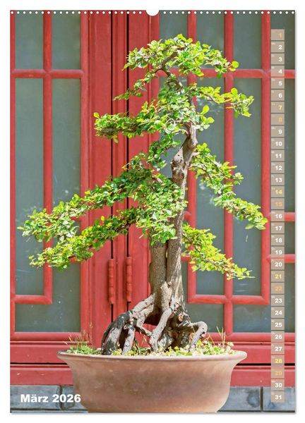 Produktbild: Bonsai: Gartenkunst im Kleinen (hochwertiger Premium Wandkalender 2026 DIN A2 hoch), Kunstdruck in Hochglanz