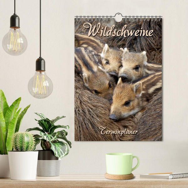 Produktbild: Wildschweine (Wandkalender 2026 DIN A4 hoch), CALVENDO Monatskalender