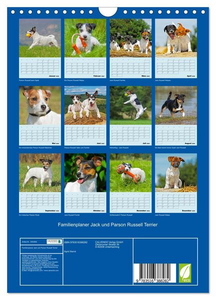 Produktbild: Familienplaner Jack und Parson Russell Terrier (Wandkalender 2026 DIN A4 hoch), CALVENDO Monatskalender