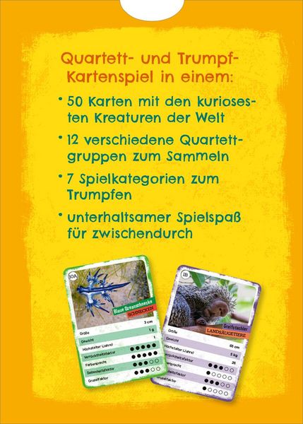 Produktbild: Das verr&uuml;ckte Quartett