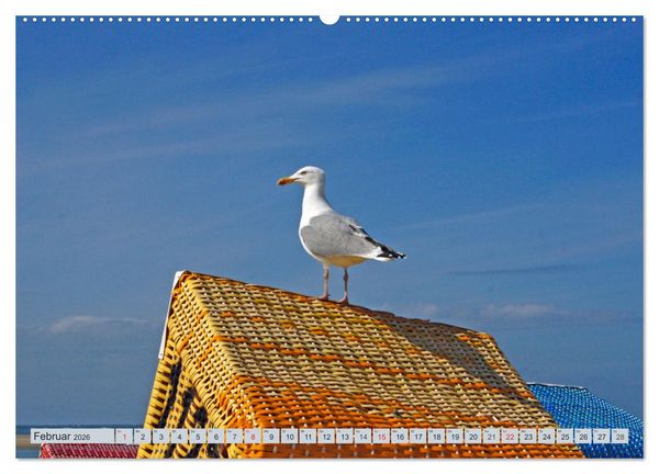 Produktbild: Langeoog - Natur Pur (Wandkalender 2026 DIN A2 quer), CALVENDO Monatskalender