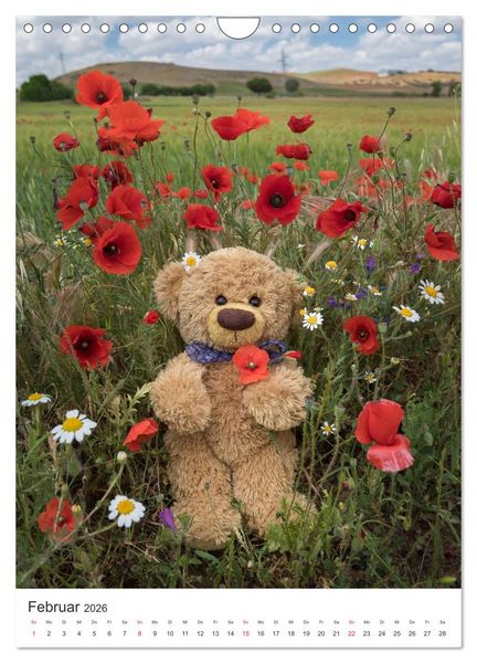 Produktbild: Travelling Teddy liebt Blumen und Bl&uuml;ten (Wandkalender 2026 DIN A4 hoch), CALVENDO Monatskalender