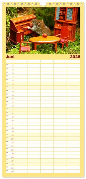Produktbild: Familienplaner 2026 - Die R&ouml;telmaus - neugierig und verfressen mit 5 Spalten (Wandkalender, 21 x 45 cm) CALVENDO