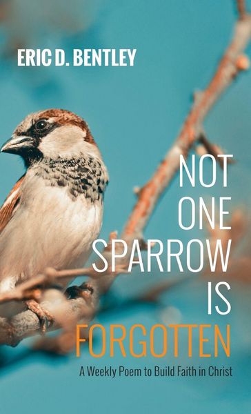 Produktbild: Not One Sparrow Is Forgotten