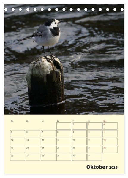Produktbild: Vogelwelt an der Sieg (Tischkalender 2026 DIN A5 hoch), CALVENDO Monatskalender