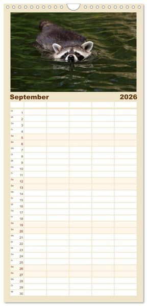 Produktbild: Familienplaner 2026 - Waschb&auml;ren mit 5 Spalten (Wandkalender, 21 x 45 cm) CALVENDO