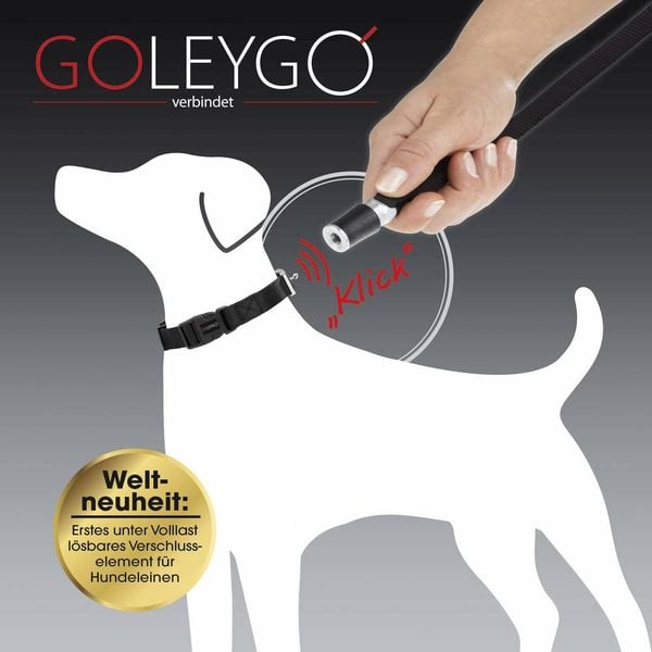 Produktbild: GoLeyGo Hundeleine & Halsband S schwarz