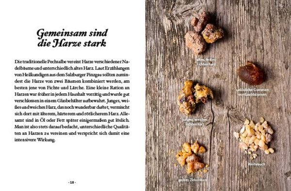 Das große kleine Buch: Harz- und Pechsalben