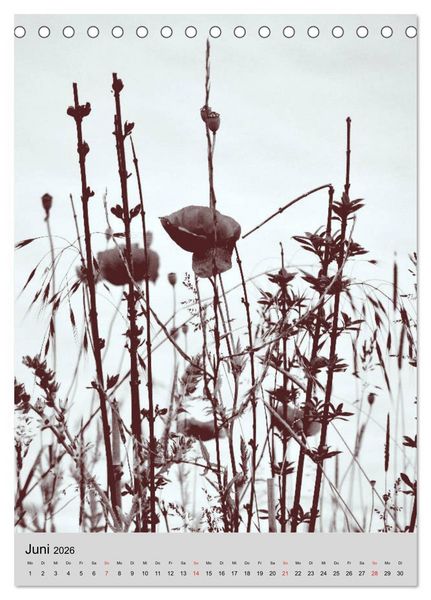 Produktbild: Natur monochrom Die besondere Wirkung (Tischkalender 2026 DIN A5 hoch), CALVENDO Monatskalender