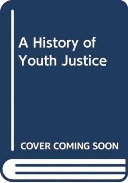 Produktbild: A History of Youth Justice
