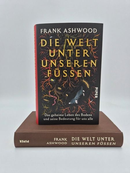 Produktbild: Die Welt unter unseren F&uuml;&szlig;en