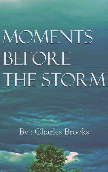 Produktbild: Moments Before the Storm