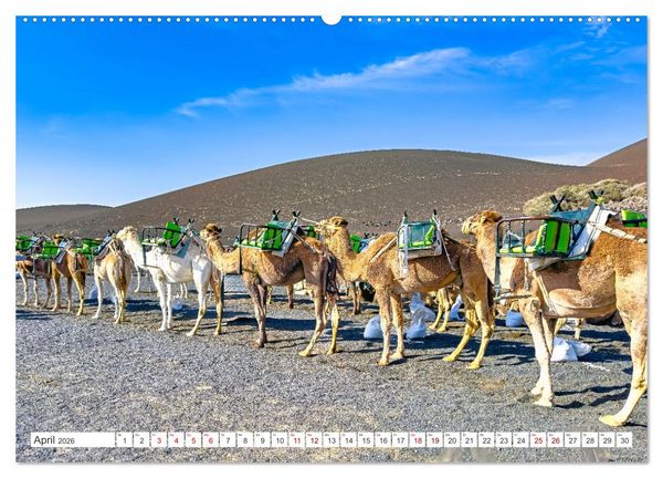 Produktbild: Lanzarote - Wo die Vulkane die Landschaft formten (Wandkalender 2026 DIN A2 quer), CALVENDO Monatskalender
