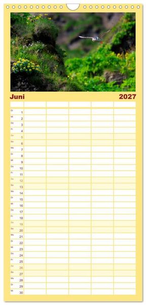 Produktbild: Familienplaner 2027 - Puffins - Papageientaucher auf Island mit 5 Spalten (Wandkalender, 21 x 45 cm) CALVENDO