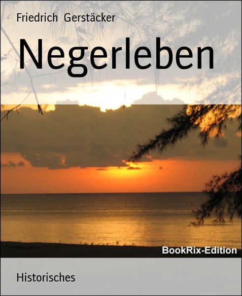 Produktbild: Negerleben