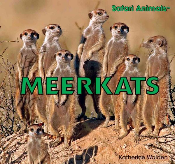Produktbild: Meerkats