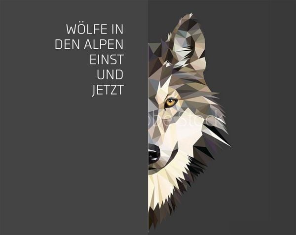 Produktbild: Der Wolf im Visier &ndash; Konflikte und L&ouml;sungsans&auml;tze