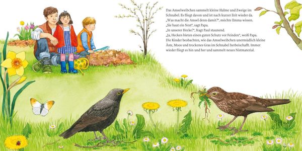Produktbild: LESEMAUS 108: Das Vogelnest