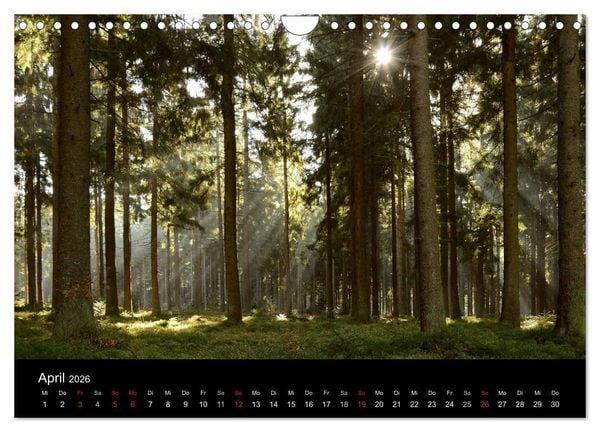 Produktbild: Zauberhafter Bayerischer Wald (Wandkalender 2026 DIN A4 quer), CALVENDO Monatskalender
