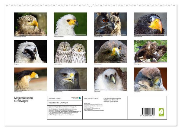 Produktbild: Majest&auml;tische Greifv&ouml;gel (hochwertiger Premium Wandkalender 2026 DIN A2 quer), Kunstdruck in Hochglanz