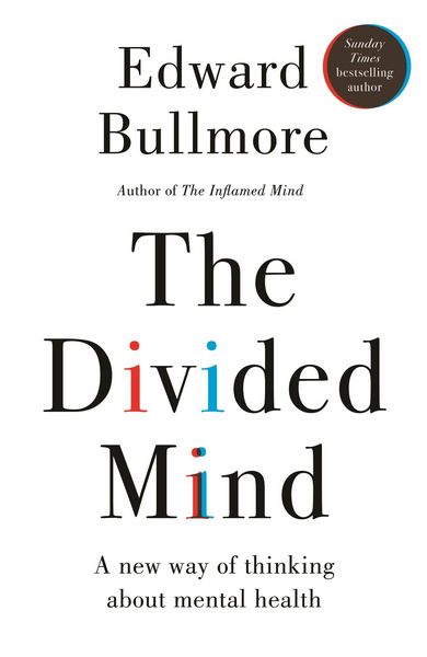 Produktbild: The Divided Mind