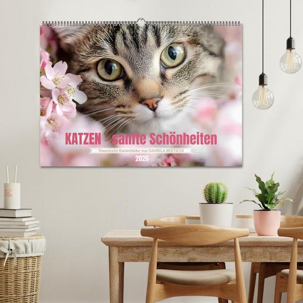 Produktbild: Katzen - sanfte Sch&ouml;nheiten (Wandkalender 2026 DIN A2 quer), CALVENDO Monatskalender