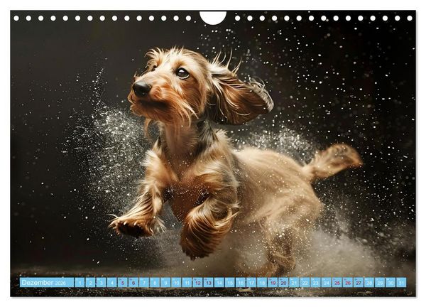 Produktbild: Hunde und Wasser (Wandkalender 2026 DIN A4 quer), CALVENDO Monatskalender