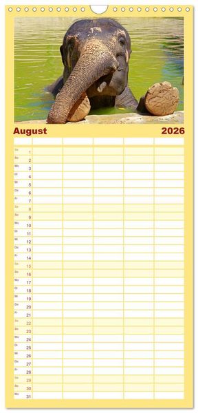 Produktbild: Familienplaner 2026 - Elefanten. Badespa&szlig; am Strand mit 5 Spalten (Wandkalender, 21 x 45 cm) CALVENDO