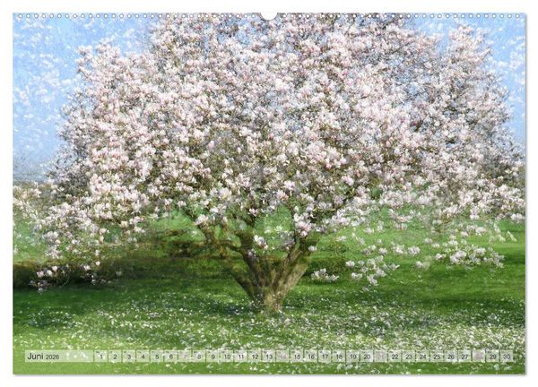 Produktbild: Vielfalt der B&auml;ume - variety of trees (hochwertiger Premium Wandkalender 2026 DIN A2 quer), Kunstdruck in Hochglanz